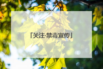 关注·禁毒宣传
